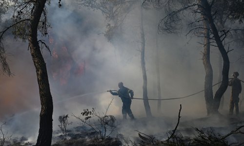 Apokaliptični šumski požar u Grčkoj spalio područje veće od New Yorka