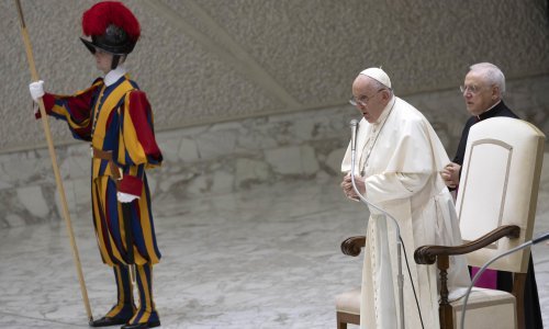 Papa Franjo osuđuje 'strašan rat protiv okoliša'