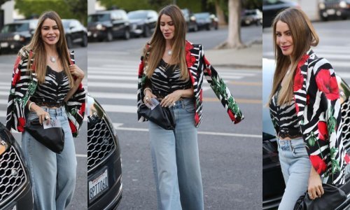 Hit za jesenske dane: Mnogi od njega zaziru, no Sofia Vergara ne izlazi iz upadljivog uzorka