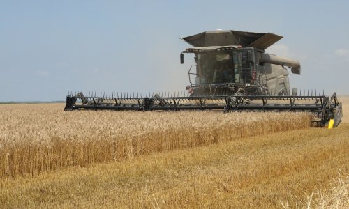 Ove godine manje pšenice, ječma, uljane repice i zobi