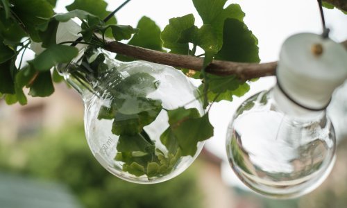 Kontejner otvara novi prostor 'mirisnom izložbom'