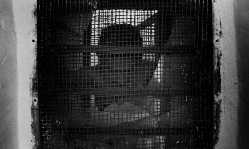 Potvrđeno: Švedski državljanin utamničen u Iranu, radio je za EU diplomaciju