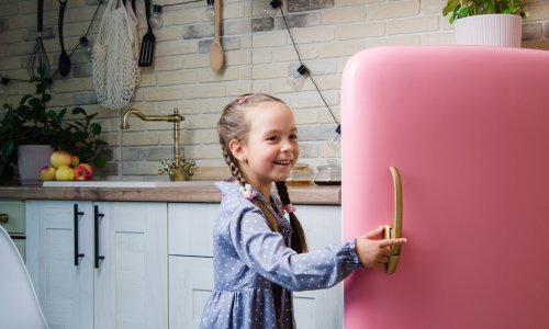 Cool elegancija - balansiranje estetike i očuvanja hrane u dizajnu kuhinje