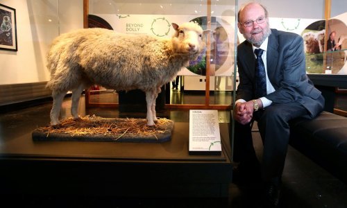 U 79. godini života preminuo tvorac klonirane ovce Dolly