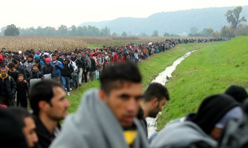 Alarmantno kod Brežica: Slovenci vraćaju migrante, oporba želi vojsku na granici