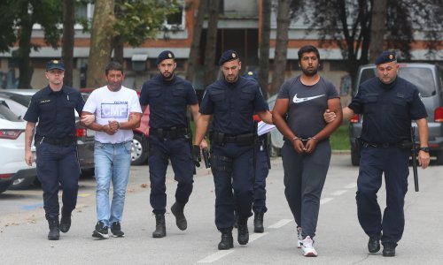 Zlostavljačima konja istražni zatvor, konj smješten u sklonište
