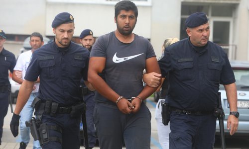 Iživljavanje nad životinjama: Ovo su privedeni zbog zlostavljanja konja