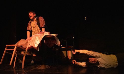 Vodimo vas na predstavu 'GospOUdinNOUbadi'