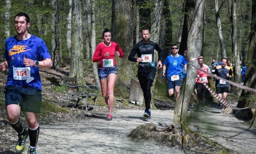 Hoće li netko odgovarati? Hrvatskoj oduzeto svjetsko prvenstvo