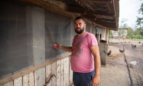 Mrtve svinje su nakon eutanazije ostavili da leže satima ispred kuće