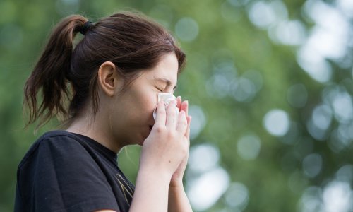 Hrvatski stručnjaci upozoravaju: Plućne bolesti i alergije eksplodirale, poremetio se i peludni kalendar