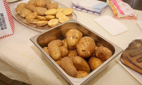 Berba krumpira u Lici: Dobro je rodio i odlične je kvalitete