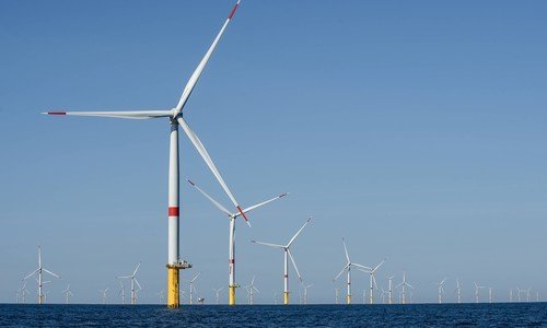 Zelena dilema EU; instalacija novih vjetroelektrana na moru mogla bi biti štetna