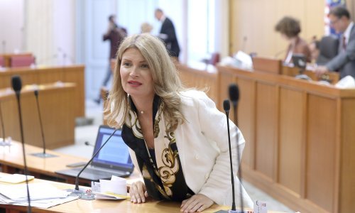 Glasovac: Koja logika da Šolta bude spojena s Kninom, a Petrinja s Pagom?