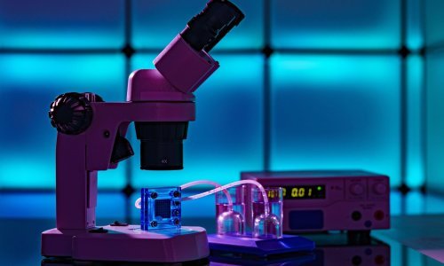 Ide li Europa iz jedne ovisnosti u drugu? Nakon ruskog goriva pojavio se novi rizik