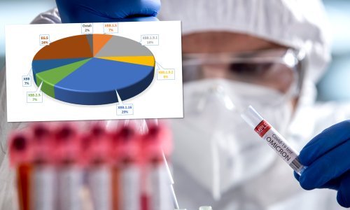 HZJZ: Ovo je najčešća podvarijanta covida u Hrvatskoj