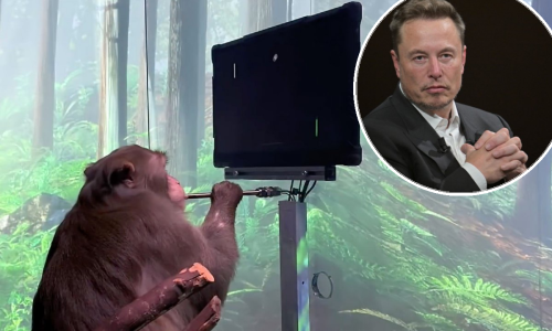 Muskov Neuralink i smrt testnih majmuna 'pod povećalom': Tko govori istinu?