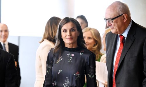 Divnu haljinu kraljice Letizije svaka bi fashionistica rado imala u svojoj kolekciji