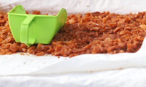 Hoće li zbog svinjske kuge porasti cijene? Čvarci već stoje 24 eura za kilogram