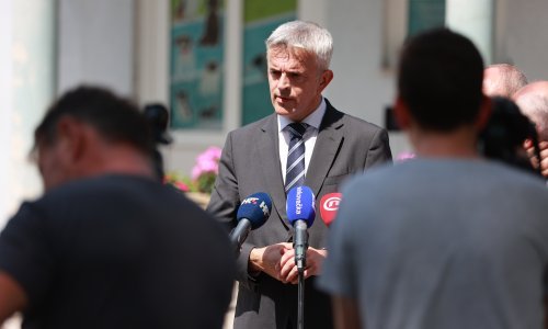 'Svinjokolje u Slavoniji će biti, ali ne na domaćinstvima'