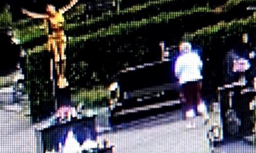 Ova žena krade s groba 12-godišnjaka. Uzme tegle, a cvijeće baci