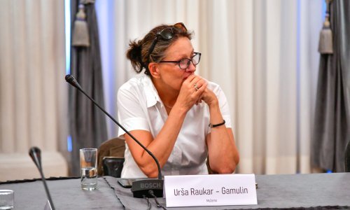 Raukar Gamulin: Vlada je arbitrarno odlučila o predsjedniku i članovima VEM-a