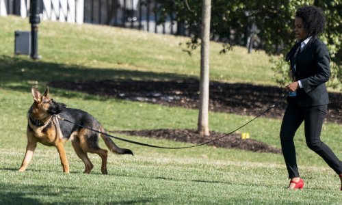 Bidenov pas Commander ugrizao agente Tajne službe najmanje 24 puta