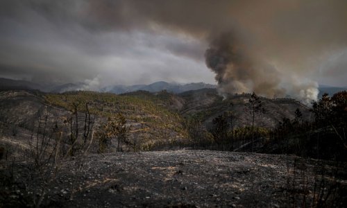 Zbog požara u Portugalu tužili 32 vlade Europskom sudu za ljudska prava