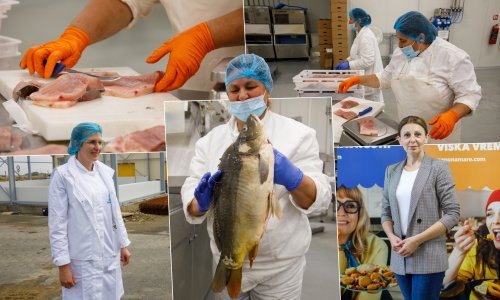 U srcu Slavonije prerađuje se slatkovodna riba: Masna i puna kostiju? Ma kakvi, to su jela za Michelin!