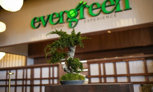 Novouređeni interijer Evergreen - sushi experience restorana spoj je japanske tradicije i suvremenog dizajna
