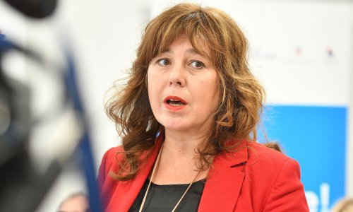 Ravnateljica Zavoda za socijalni rad: Prva ustanova mora prihvatiti dijete!