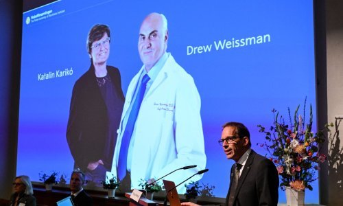 Nobela za medicinu dobili znanstvenici koji stoje iza mRNA cjepiva protiv covida