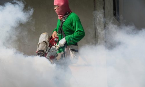 Zašto bi denga groznica u Europi mogla biti katastrofalna za ostatak svijeta