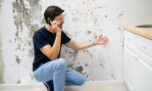 Niže temperature donijele pomamu za uređajima protiv vlage: 'Ne možemo to pratiti'