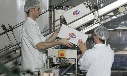 Ledo zatvara pogone, 52 radnika idu na cestu