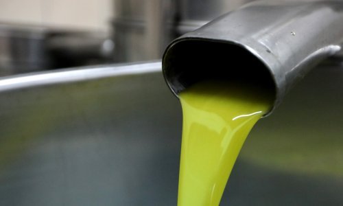 Cijena maslinovog ulja skače u nebo, litra će stajati dvostruko više nego lani