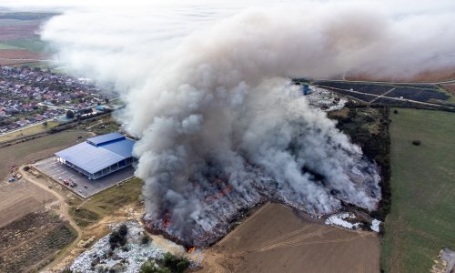 Agencija za hranu: U blizini požarišta temeljito prati i guliti voće i povrće