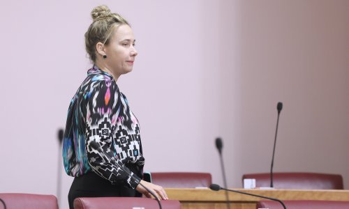 Što sad? Zakon o izbornim jedinicama objavljen u Narodnim novinama izvan roka