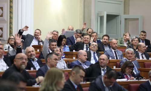 'Šokantna je nebriga koju je zakonodavac pokazao prema temeljima ustrojstva države'