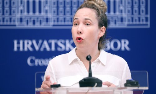 Selak Raspudić: Ekocid treba biti zasebno kazneno djelo