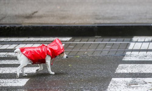 Stiže značajna promjena vremena: Već za vikend jače zahladnjenje i obilni pljuskovi