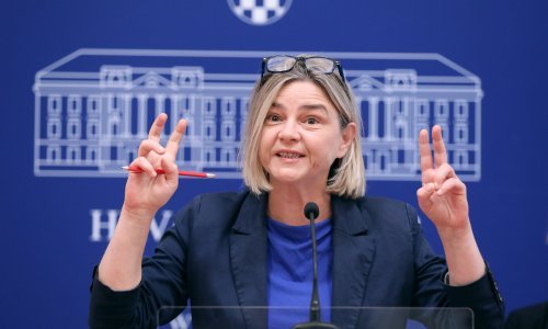 Benčić saziva Odbor za zaštitu okoliša na temu požara u Osijeku