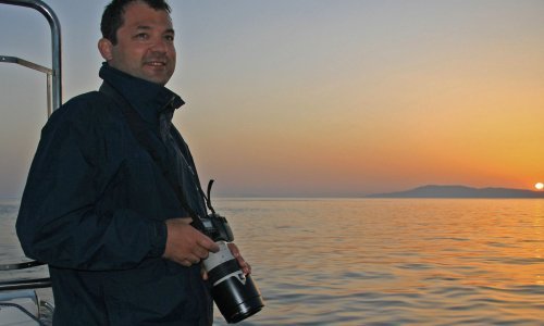 Biolog otkriva kakvi su to problemi doveli ulješare do Rovinja