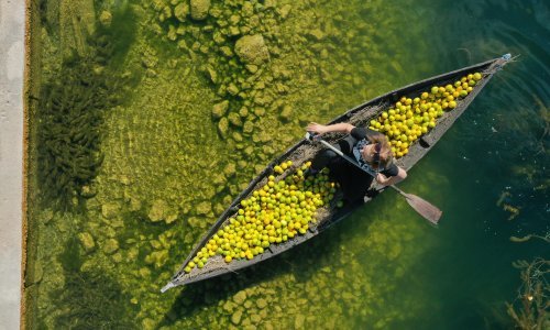 Zašto su mandarine ove godine kisele? 'Da smo čekali žutu robu, ne bismo prodali ništa'
