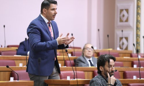 Grmoja: Sabor treba obvezati Vladu da smijeni cijelu Upravu HEP-a