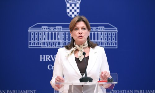 Vidović Krišto podnijela više kaznenih prijava zbog požara u Osijeku