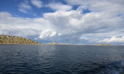 IRB predstavio rezultate projekta istraživanja biomolekula iz Jadranskog mora