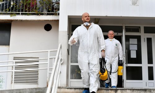 Boj protiv stjenica prepušten profesionalcima, evo koliko košta tretman stana