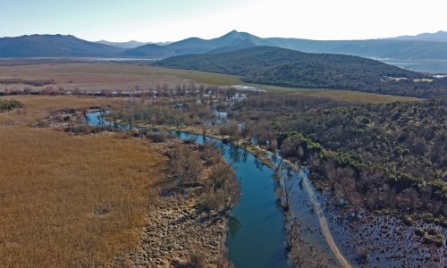 Jedna od najvažnijih europskih močvara nestaje jer Republika Srpska gradi hidroelektranu