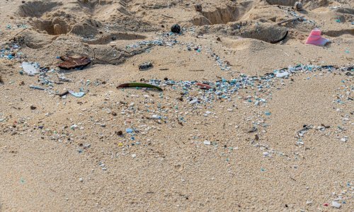 Znanstvenici pronašli genijalan način kako očistiti oceane od plastike, a spas se krije u - jajetu